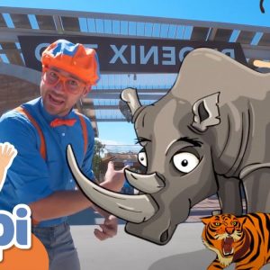 Blippi Visits The Zoo | Learning Zoo Animals For Kids | Educational Videos For Toddlers
