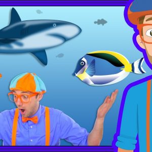 At an Aquarium with Blippi | Fish for Kids