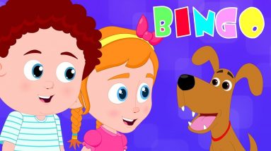 Bingo Dog Song | Schoolies Cartoon Videos & Nursery Rhymes for Kids