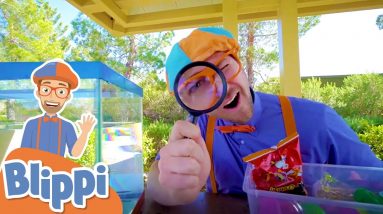 Sink or Float with Blippi | Fun Science Experiment for Kids | Educational Videos For Kids