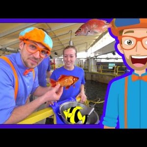 Learn About Fish for Children with Blippi | Educational Videos for Kids