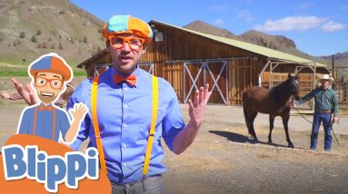 Learning Farm Vehicles and Animals With Blippi | Educational Videos For Kids