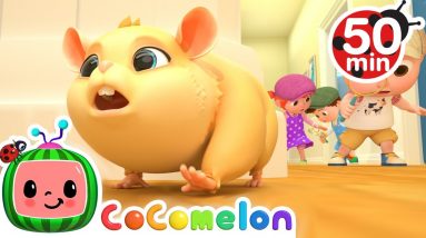 Lost Hamster Song + More Nursery Rhymes & Kids Songs - CoComelon