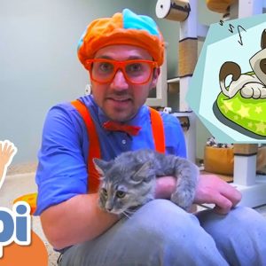 Learning Animals With Blippi + More Blippi Videos For Kids | Educational Videos For Kids