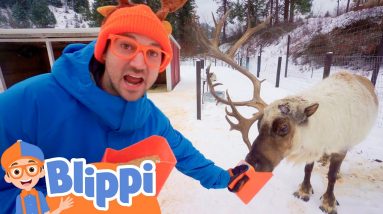 Blippi Visits a Reindeer Farm! | Learn Animals for Kids | Fun and Educational Videos for Toddlers