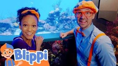 Blippi Visits The Aquarium of The Pacific | Fun and Educational Videos for Kids