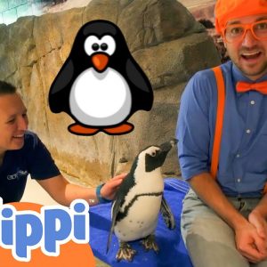 Blippi Visits an Aquarium | Learn About Animals and Fish |  Fun and Educational Videos for Kids