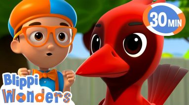 Blippi Wonders | Learning Birds and Animals + More! | Blippi Animated Series | Cartoons For Kids