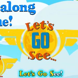 @Let's Go See  - Singalong Extravaganza! 🎤🎶 | Compilation | @Wizz Explore