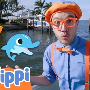 Blippi Explores A Boat And Learns About Sea Animals! | Educational Videos for Kids