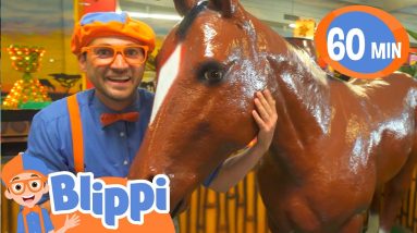 Blippi Learns About Jungle Animals At The Indoor Playground | Educational Videos for Kids
