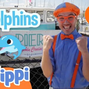 Boats and Sea Animals for Kids With Blippi | 1 Hour of Blippi | Educational Videos for Kids