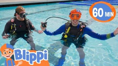 Blippi Learns About Scuba Diving! | Blippi Sink or Float | Educational Videos for Kids