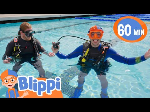 Blippi Learns About Scuba Diving! | Blippi Sink or Float | Educational Videos for Kids