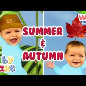 @Baby Jake  - Summer and Autumn Adventures! ☀️🍁  | Full Episodes | Compilation | @Wizz Explore