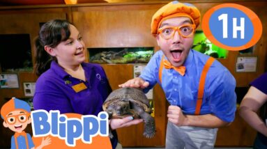 Learn and Play with Blippi at the Science Center for Kids! | Educational Videos for Kids