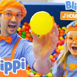 Blippi's Meets Layla at an Indoor Playground! | Educational Videos for Kids
