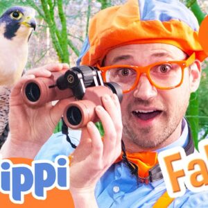 Blippi Meets a Falcon in Real Life! 1 Hour of Animal Stories for Kids