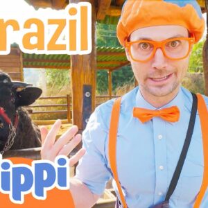 Blippi Visits a Petting Zoo in Brazil! Educational Animal Videos for Kids