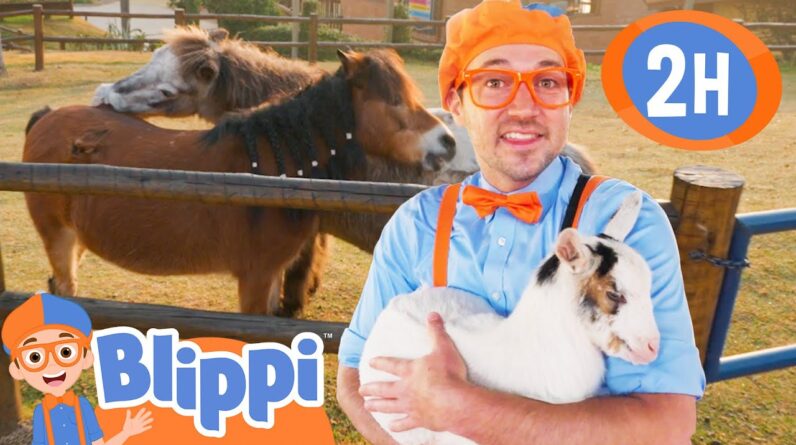 Blippi Plays with Animals at the Zoo! 2 Hours of Animal Stories for Kids